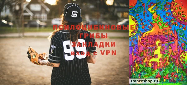 spice Осинники