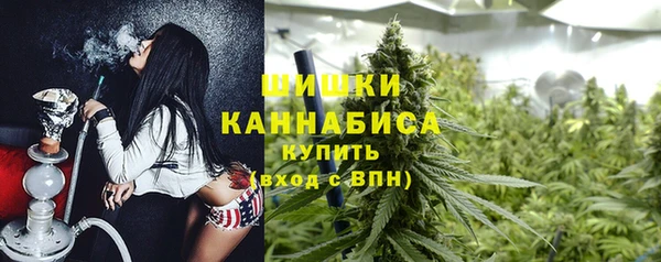 spice Осинники