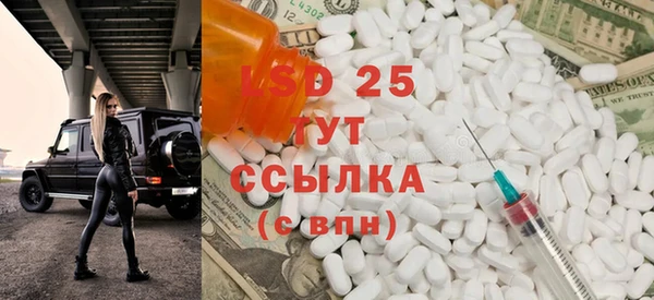 spice Осинники