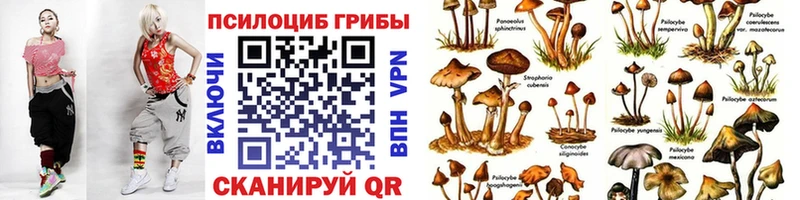 сайты даркнета Telegram Ряжск Галлюциногенные грибы ЛСД хочу